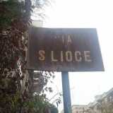 Parallela a via Bitritto si estendeva infine la via del Picone (oggi via Camillo Rosalba), chiamata cos� perch� affiancava il corso dell�omonima lama. Siamo praticamente nell�odierno quartiere Poggiofranco. A ricordare la contrada c�� anche una via: S.Lioce, che in molti (persino il Comune) erroneamente chiamano Saverio Lioce